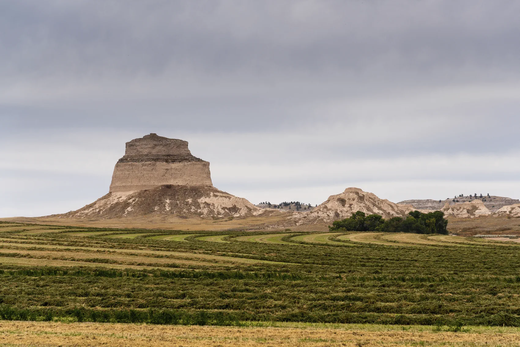 Dome Rock Copyright 2024 Hawk Buckman