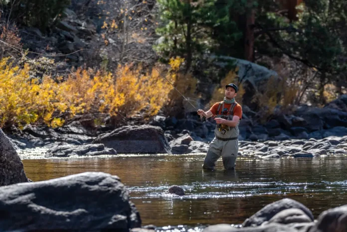 Fly fishing in the Cache la Poudre River: Copyright 2018 Hawk Buckman