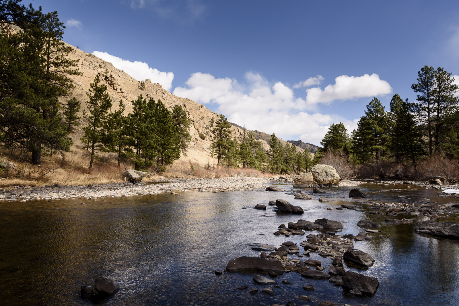 Copyright 2025 Hawk Buckman